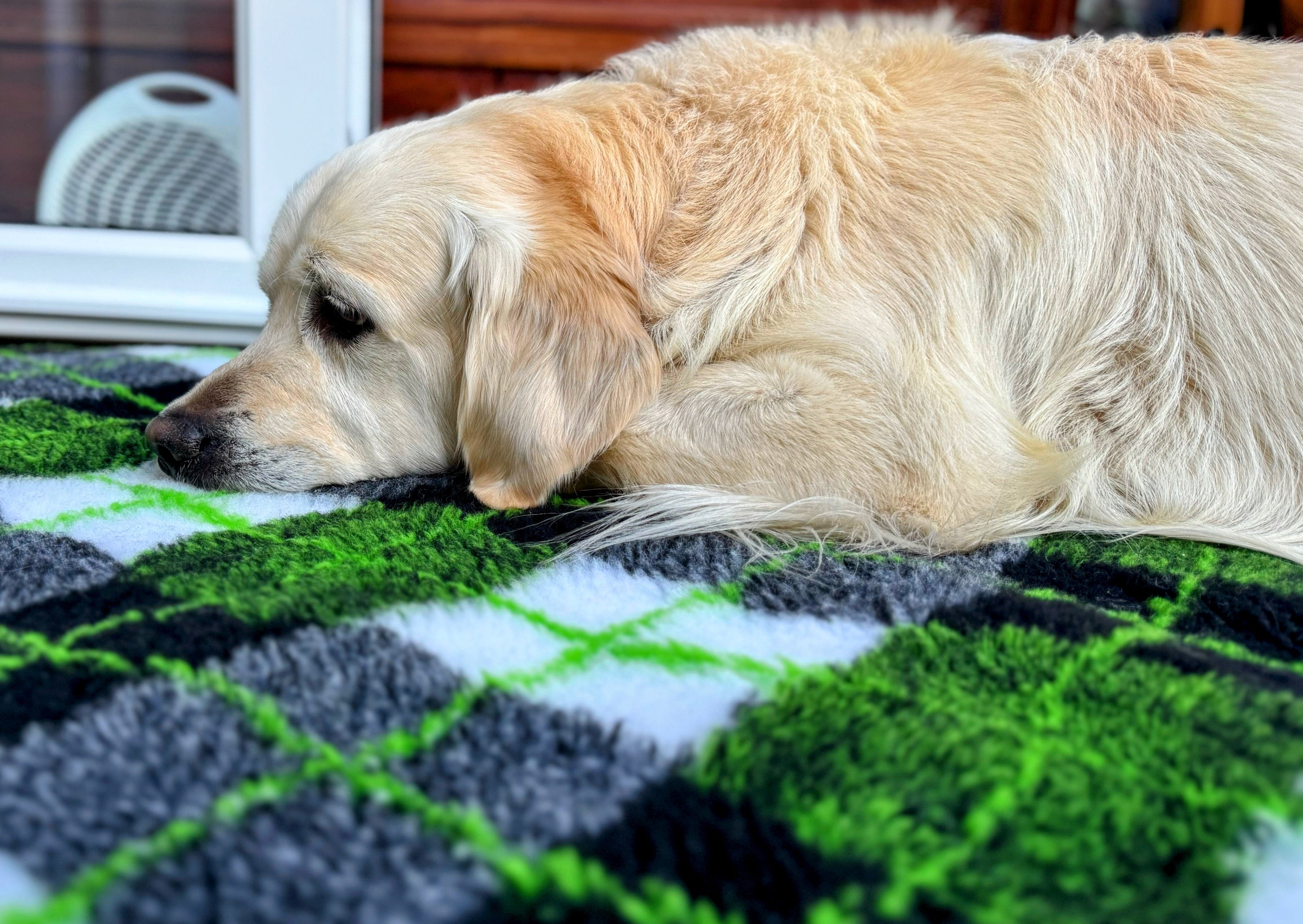 Vet Beds - Thick, Fleeced, Luxury Vet Bed in 10 Colours - Non-Slip - Available in 3 Sizes